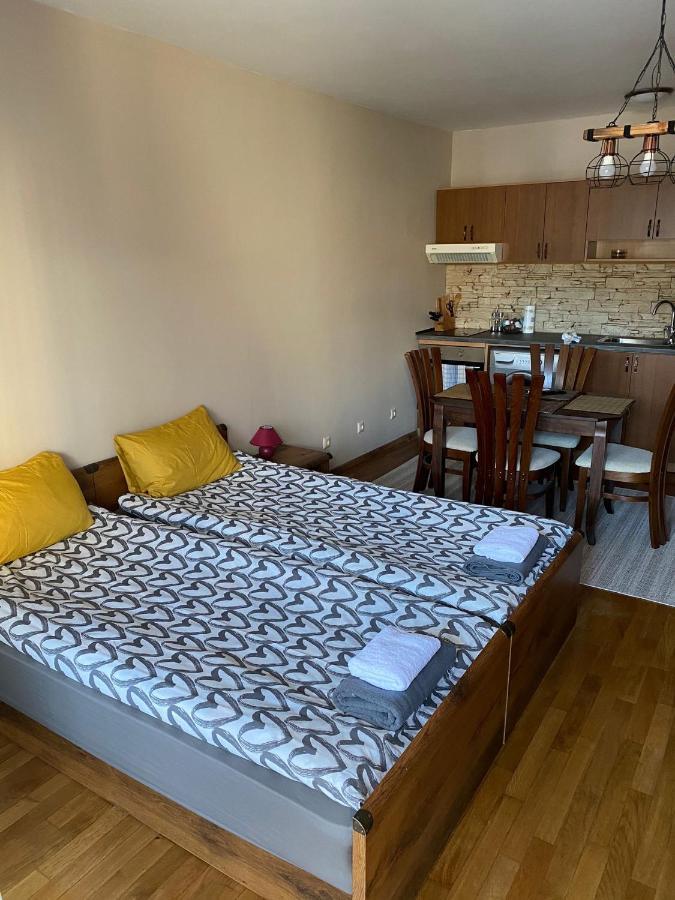 Bansko Spa Studio At Predela1 外观 照片